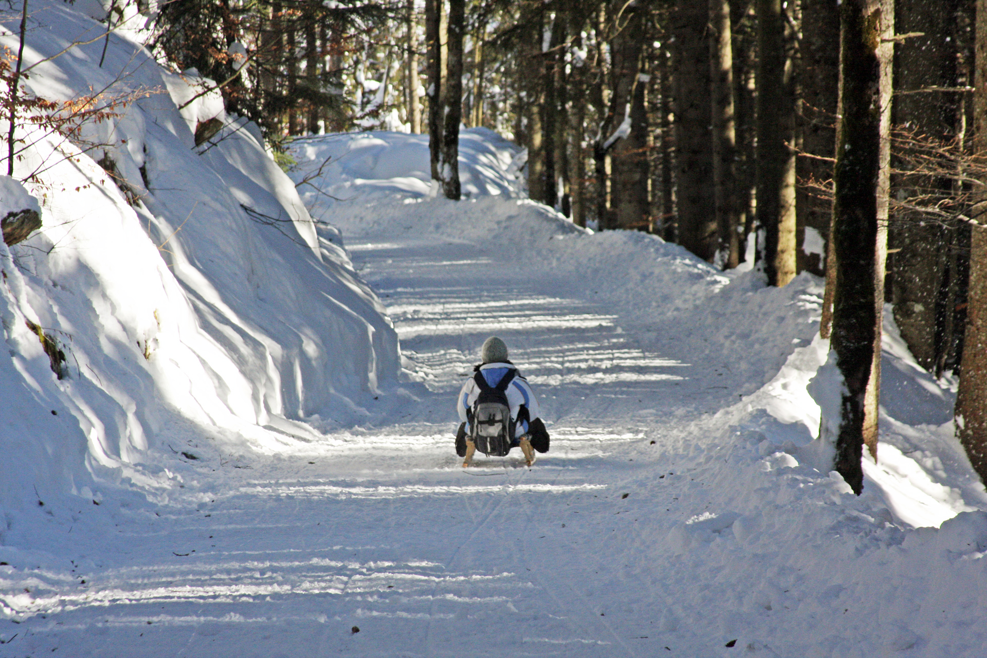 Rodelbahn Obere Firstalm Abfahrt