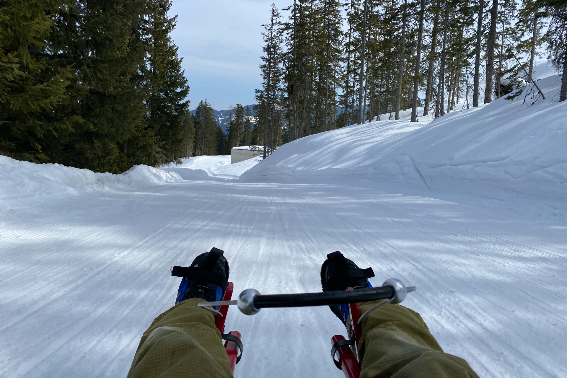 Rodelbahn Radstadt Koenigslehen